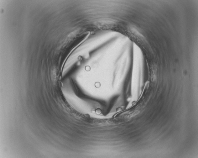 X0000061731108200512302138