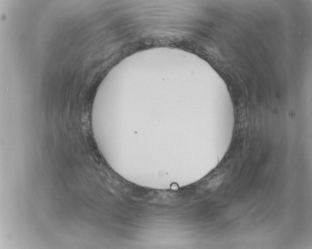 X0000061731109200512302138