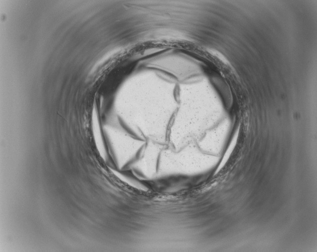 X0000061731112200512302138