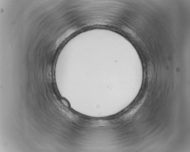 X0000061731113200512302138