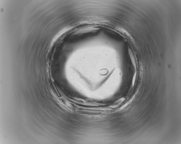 X0000061731114200512302138