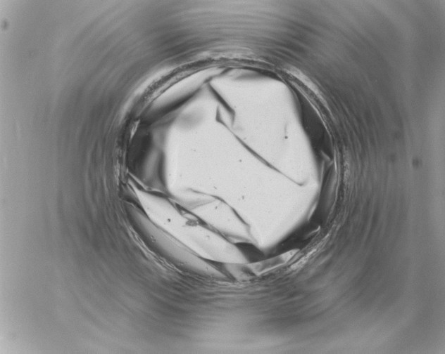 X0000061731115200512302138