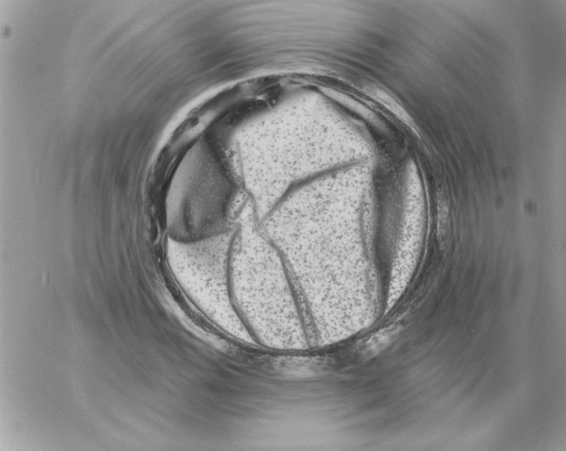 X0000061731116200512302138