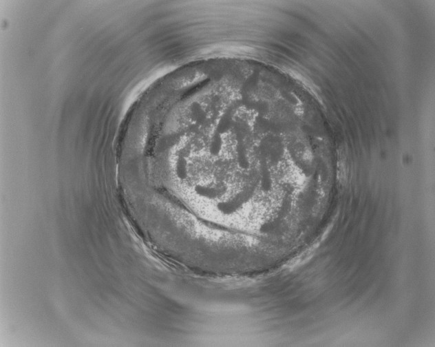 X0000061731117200512302138