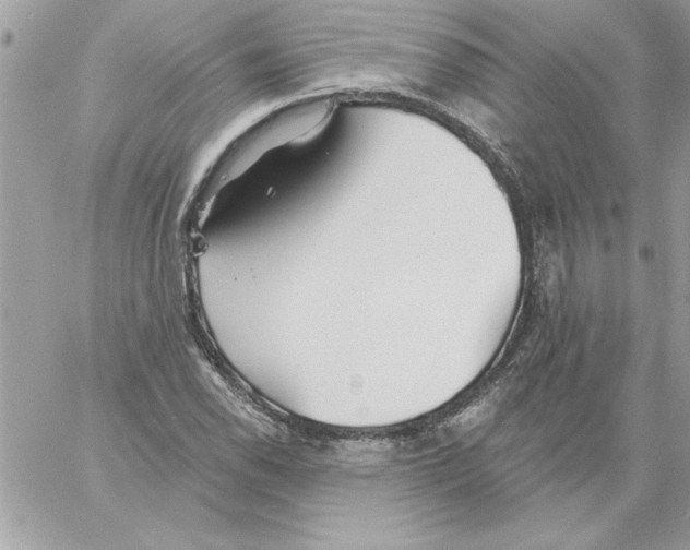 X0000061731118200512302138