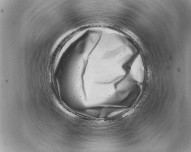 X0000061731120200512302138