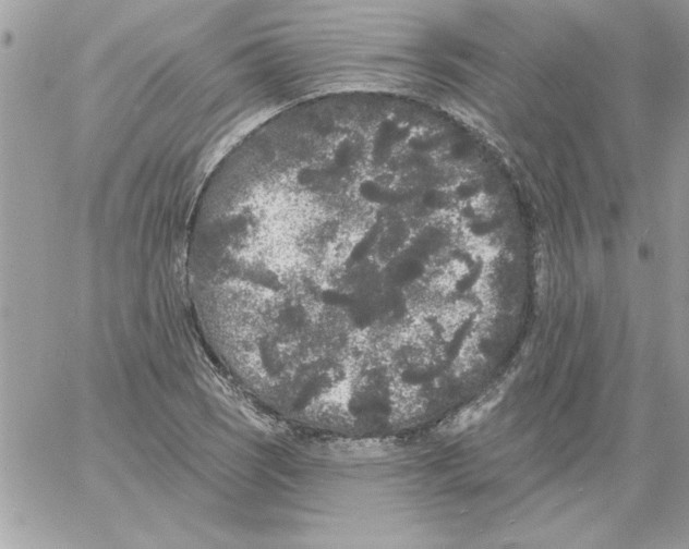 X0000061731121200512302138