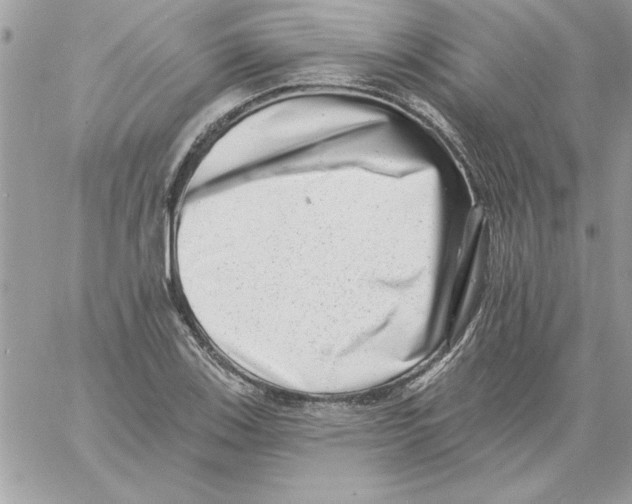 X0000061731123200512302139