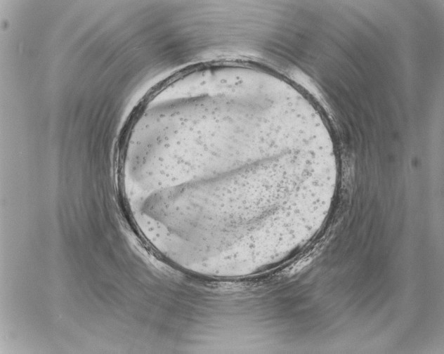 X0000061731124200512302139