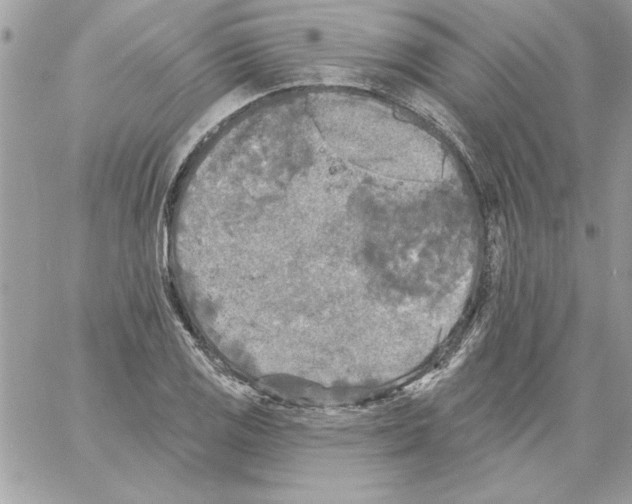 X0000061731125200512302139