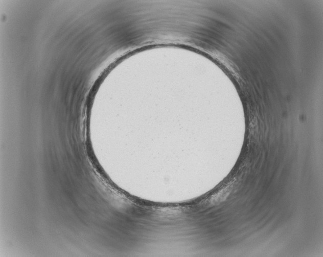 X0000061731126200512302139