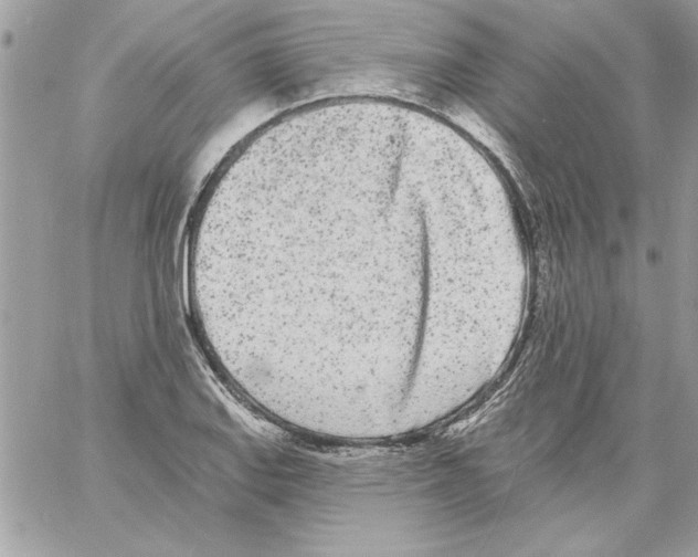 X0000061731127200512302139