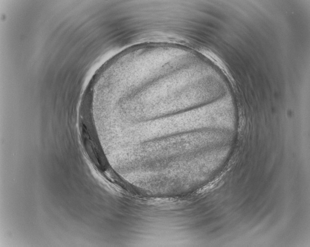 X0000061731128200512302139