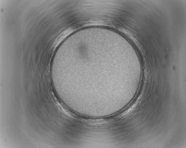 X0000061731129200512302139