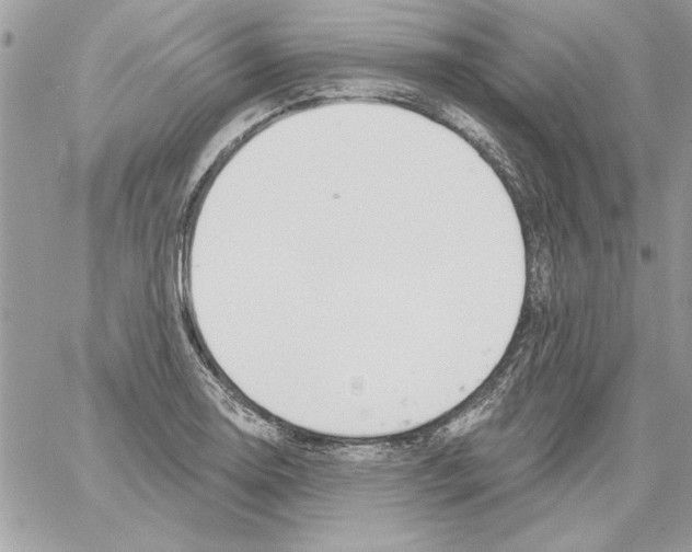 X0000061731130200512302139