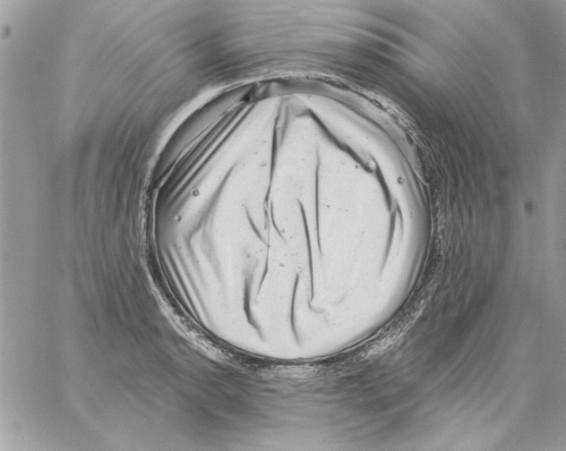 X0000061731134200512302139