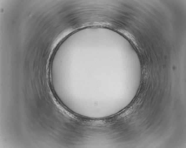 X0000061731135200512302139