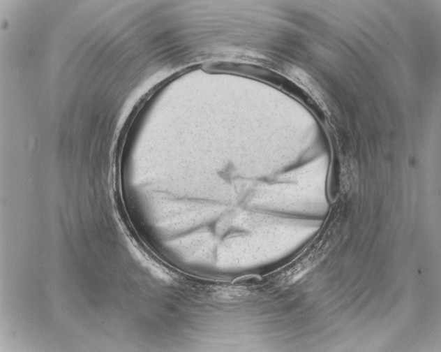 X0000061731136200512302139