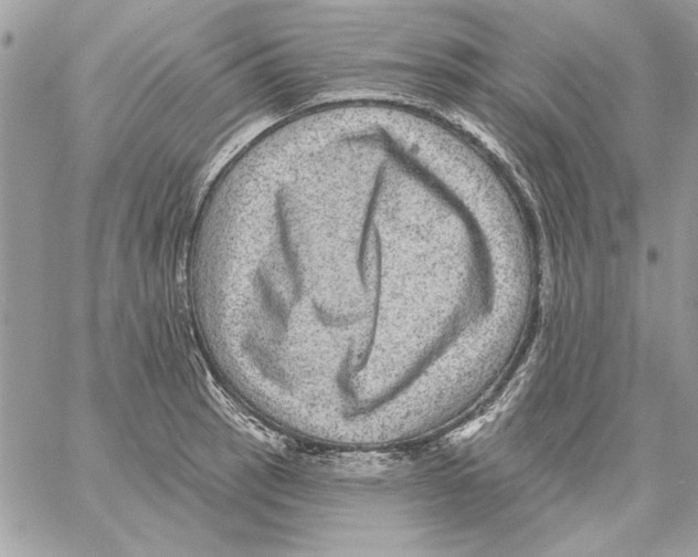 X0000061731137200512302139