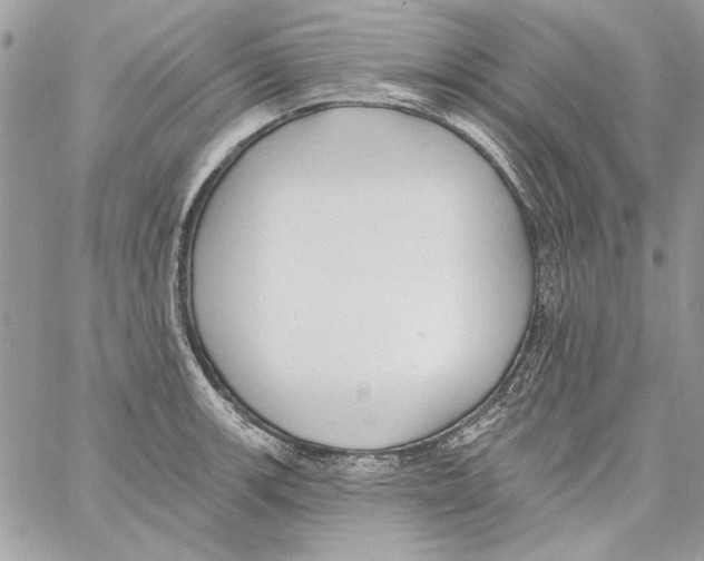 X0000061731139200512302139