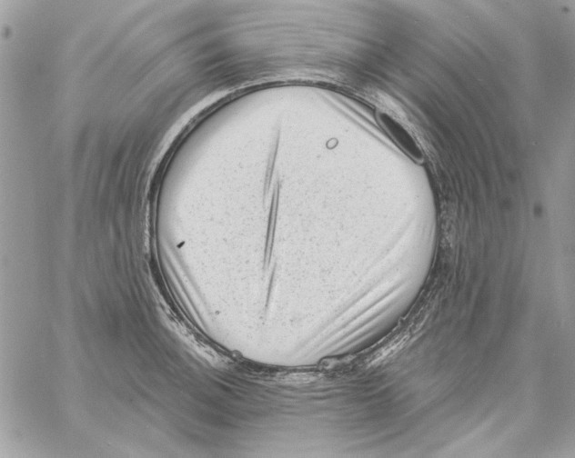 X0000061731140200512302139