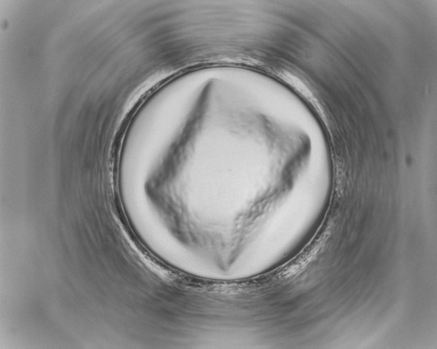 X0000061731141200512302139