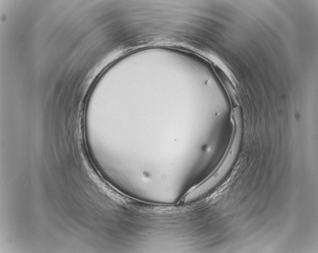 X0000061731142200512302139