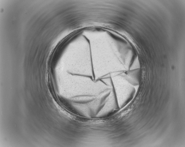 X0000061731143200512302139