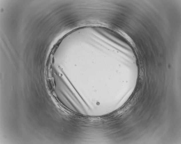 X0000061731144200512302139