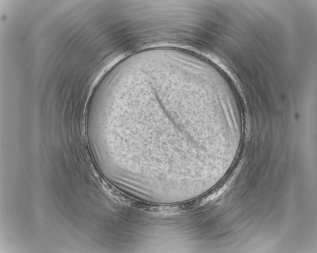 X0000061731145200512302139