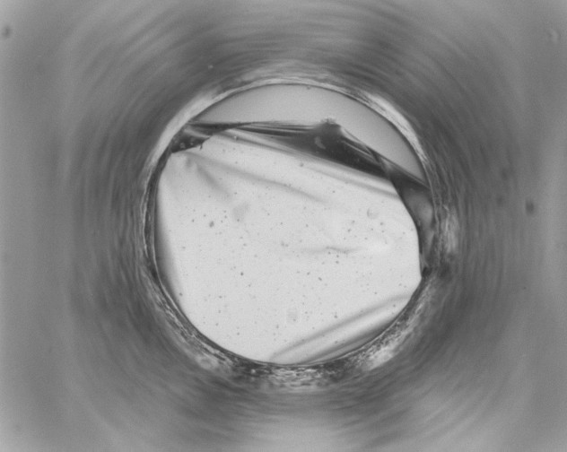 X0000061731146200512302139