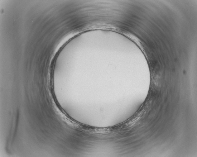 X0000061731147200512302139