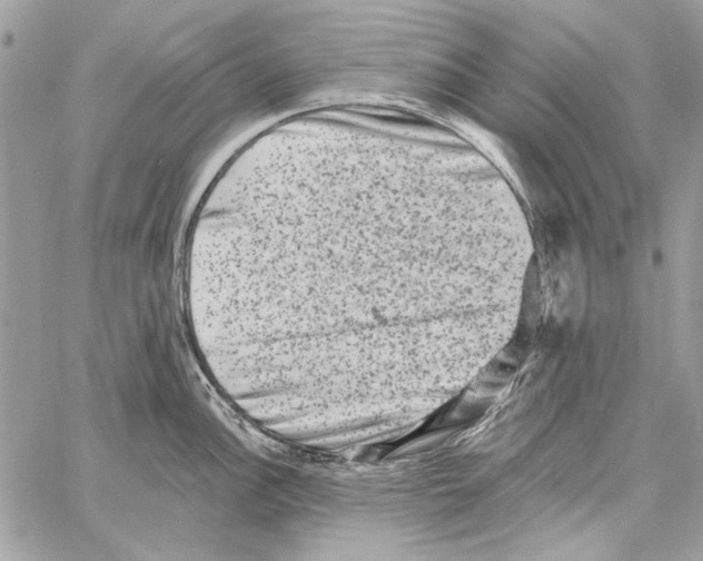 X0000061731148200512302139