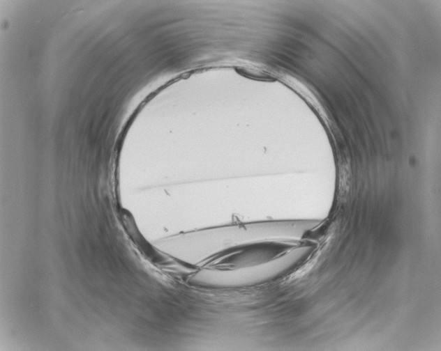 X0000061731149200512302139