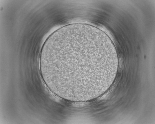 X0000061731150200512302139