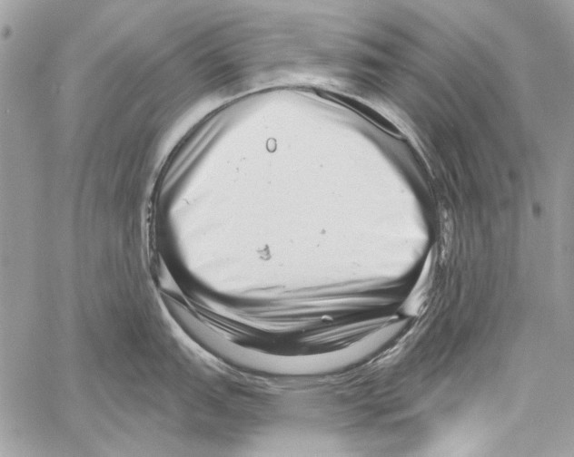 X0000061731151200512302139