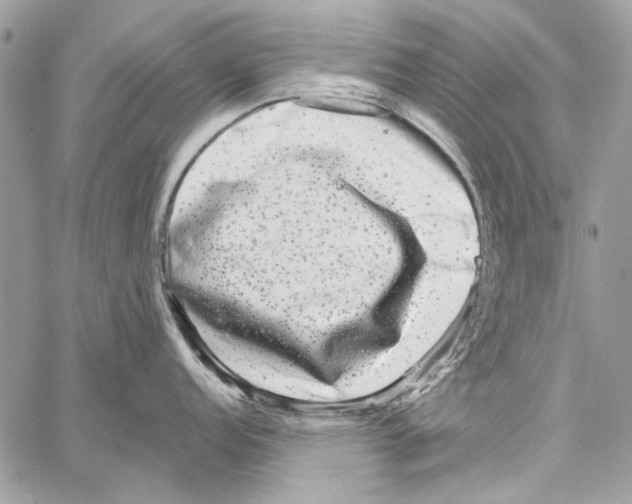 X0000061731152200512302139