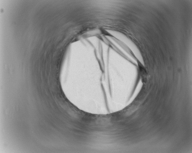 X0000061731153200512302138