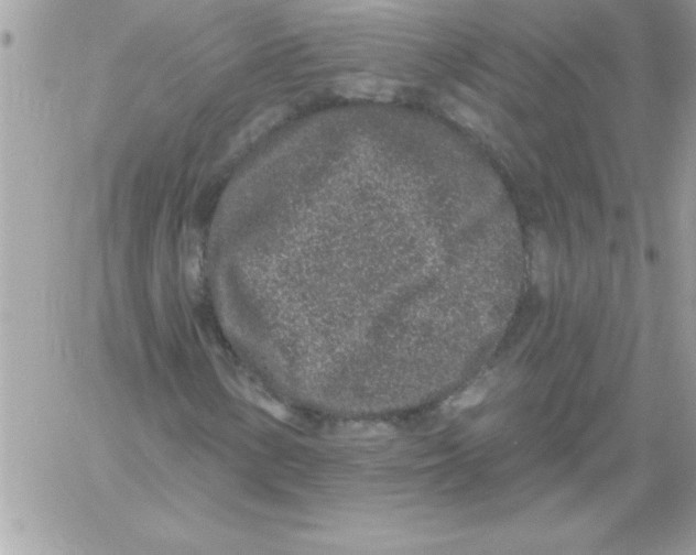 X0000061731154200512302138