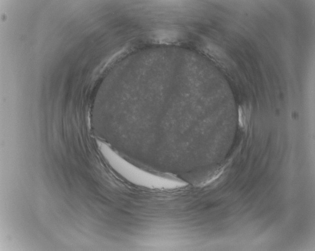 X0000061731155200512302138