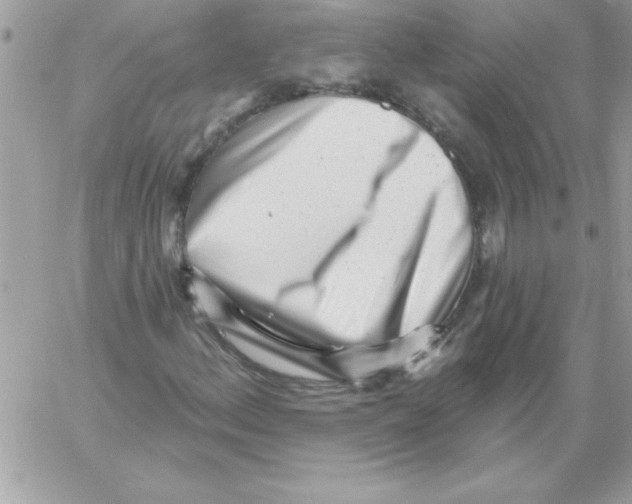 X0000061731156200512302138