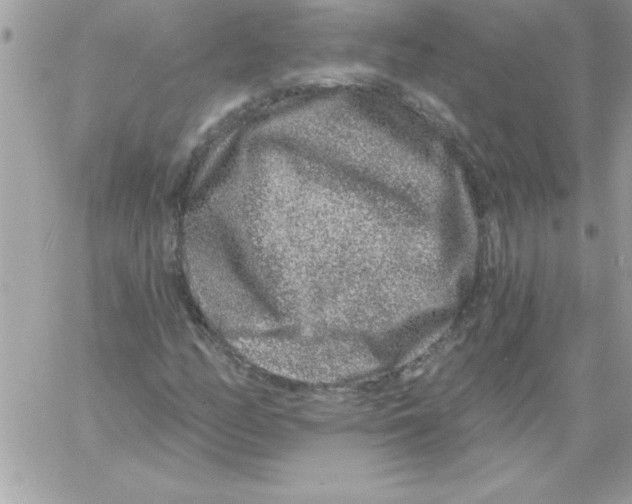 X0000061731158200512302138