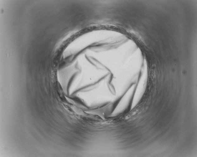 X0000061731159200512302138