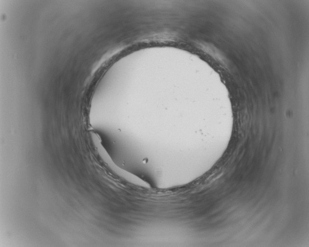 X0000061731160200512302138