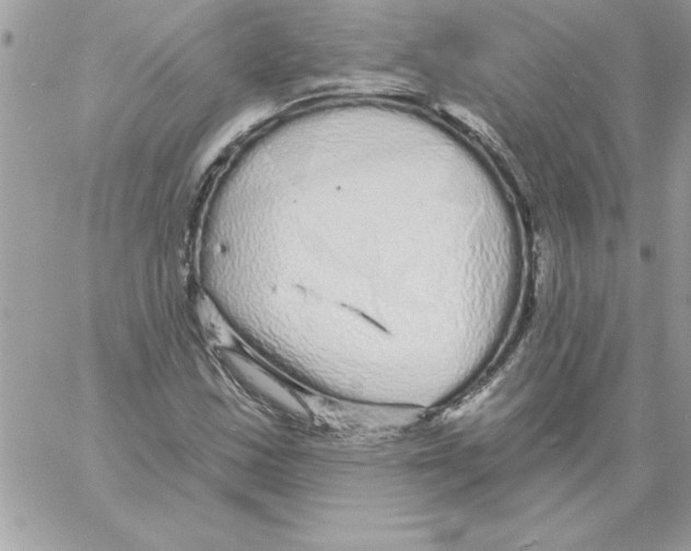 X0000061731163200512302138