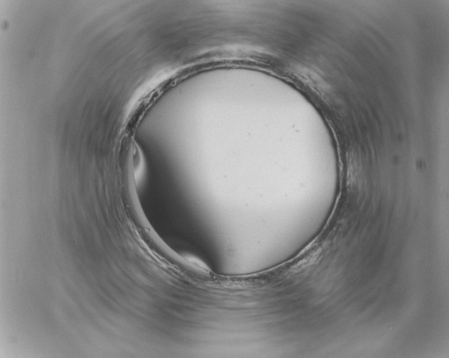 X0000061731164200512302138