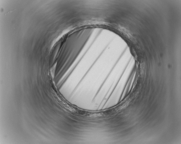 X0000061731165200512302138