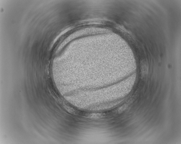 X0000061731166200512302138