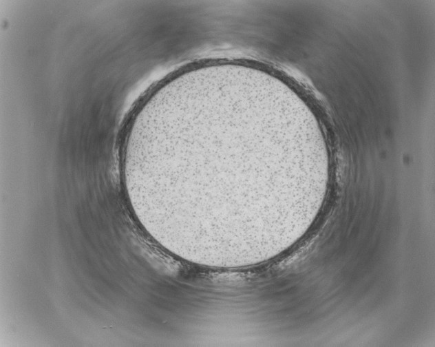 X0000061731167200512302138