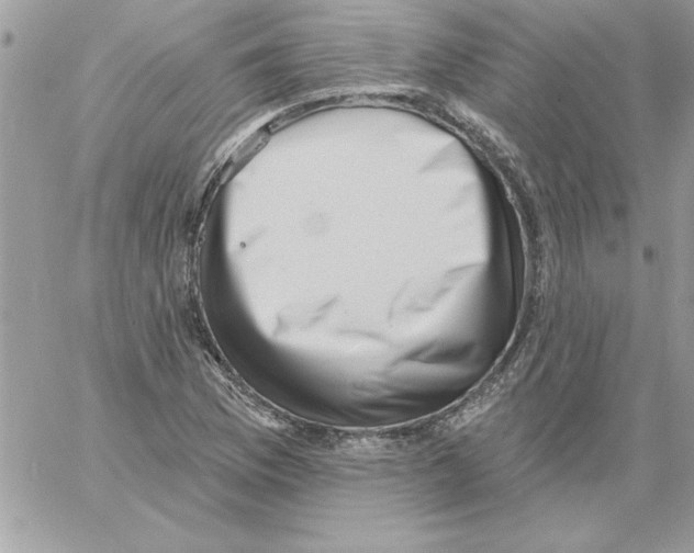 X0000061731169200512302138